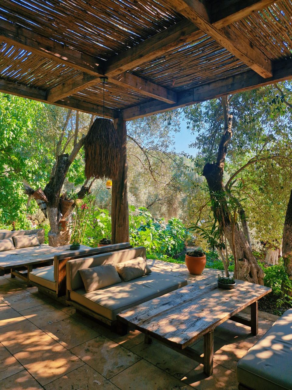 Pergola de canisse, banquettes à coussins et oliviers